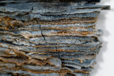 This contemporary glass wall sculpture by Cheryl Wilson Smith has an earthy colour palette. Image 10