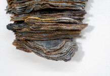 This contemporary glass wall sculpture by Cheryl Wilson Smith has an earthy colour palette. Image 5