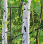 A stand of birch trees—their distinctive white bark playing against a backdrop of verdant green. Image 4