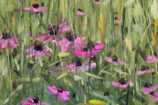 In stunning detail, Ciba Karisik has captured the delicate and serene beauty of pink coneflower and white Queen Anne’s lace flowers lining t… Image 5