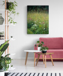 In stunning detail, Ciba Karisik has captured the delicate and serene beauty of pink coneflower and white Queen Anne’s lace flowers lining t… Image 6