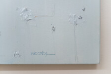 In a Sterling Mist Image 5