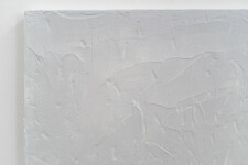 The Sentinel Image 7