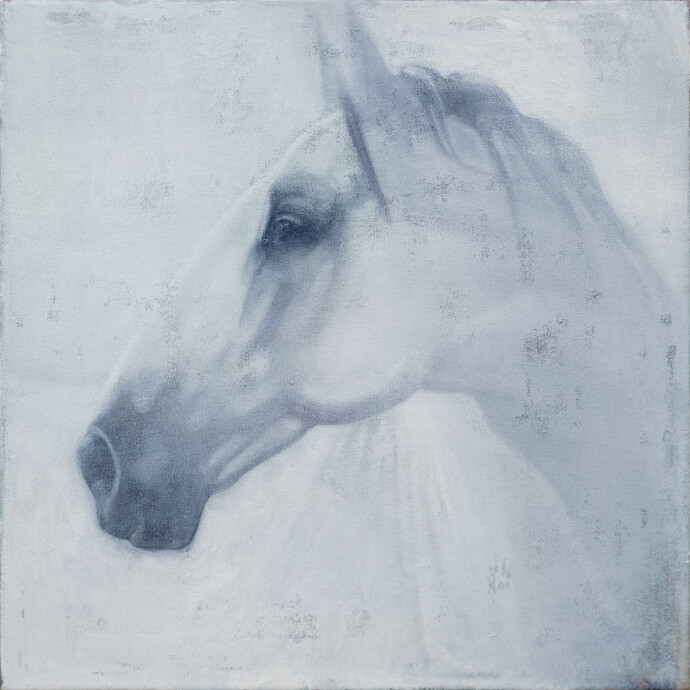 This figurative oil painting of a white horse is by Daniel Hughes.