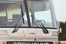 Montreal Greyhound Image 7