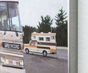 Montreal Greyhound Image 2