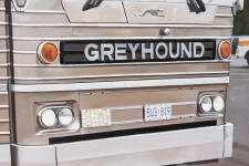Montreal Greyhound Image 3