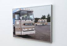 Montreal Greyhound Image 12