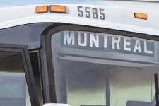 Montreal Greyhound Image 5