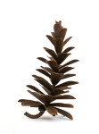 This contemporary table top steel sculpture of a pine cone is by Floyd Elzinga. Image 3