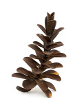 This contemporary table top steel sculpture of a pine cone is by Floyd Elzinga. Image 2