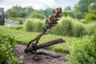 Floyd Elzinga’s beautiful pine cone sculptures emulate the organic shape, texture and form of the natural object.