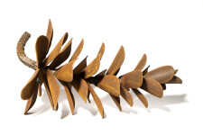 Sculptor Floyd Elzinga’s pine cones have become one of his signature pieces valued for their exquisite detail and iconic form. Image 2