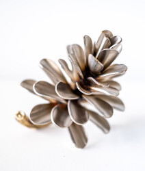 Pine Cone 25-454