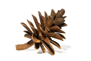 This playful pop art sculpture of a pine cone is by Canada’s Floyd Elzinga.
