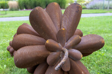 This contemporary outdoor sculpture was forged from steel; its form is inspired by nature. Image 3