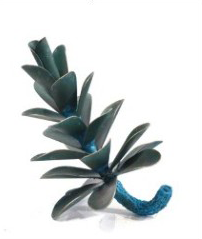 Pine Cone 25-393