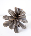 Pine Cone 25-451 Image 4