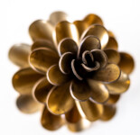 Pine Cone 25-449 Image 5