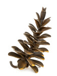 This contemporary table top steel sculpture of a pine cone is by Floyd Elzinga. Image 2