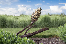 Floyd Elzinga’s beautiful pine cone sculptures emulate the organic shape, texture and form of the natural object. Image 2