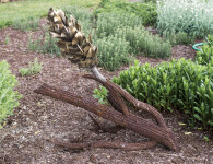 Floyd Elzinga’s beautiful pine cone sculptures emulate the organic shape, texture and form of the natural object. Image 3