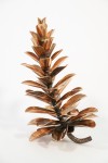 Bronze Pine Cone 22-555 Image 2