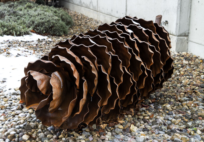 Spruce Cone 23-635