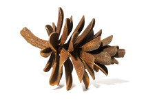 This playful pop art sculpture of a pine cone is by Canada’s Floyd Elzinga. Image 2