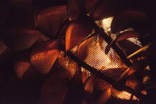 This contemporary outdoor steel sculpture of a pine cone by Floyd Elzinga is also wood-burning. Image 4