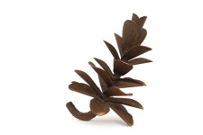 This contemporary table top steel sculpture of a pine cone is by Floyd Elzinga. Image 2
