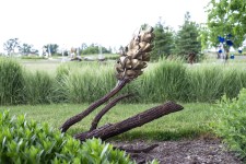 Floyd Elzinga’s beautiful pine cone sculptures emulate the organic shape, texture and form of the natural object. Image 3