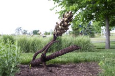 Floyd Elzinga’s beautiful pine cone sculptures emulate the organic shape, texture and form of the natural object. Image 2