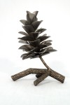Pine Cone on Branch 23-169 Image 2