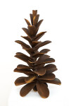 This contemporary table top steel sculpture of a pine cone is by Floyd Elzinga. Image 2