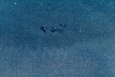 This modern abstract is a Harold Feist 'spoke' painting. Image 5