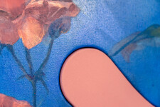Lush stems of gorgeous coral-coloured roses play against a deep blue and white background. Image 14