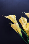 This gorgeous bouquet of sunny yellow Calla Lilies is a mixed media piece by James Lahey. Image 8