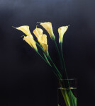 This gorgeous bouquet of sunny yellow Calla Lilies is a mixed media piece by James Lahey. Image 6