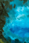 These contemporary abstract mixed media paintings are inspired by nature. Image 6