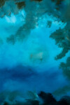 These contemporary abstract mixed media paintings are inspired by nature. Image 4