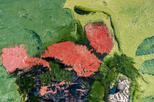 This abstract contemporary oil painting has a floral theme featuring the colours coral, green and lemon. Image 5