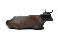 Jeanette is a table-top sculpture of a regal adult female cow sitting, legs tucked under her massive body. Image 4