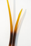 This amber glass wall sculpture is by John Paul Robinson. Image 6