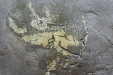 Washes of charcoal and ochre merge with a tactile surface in this atmospheric plaster and pigment painting by Jutta Naim. Image 6