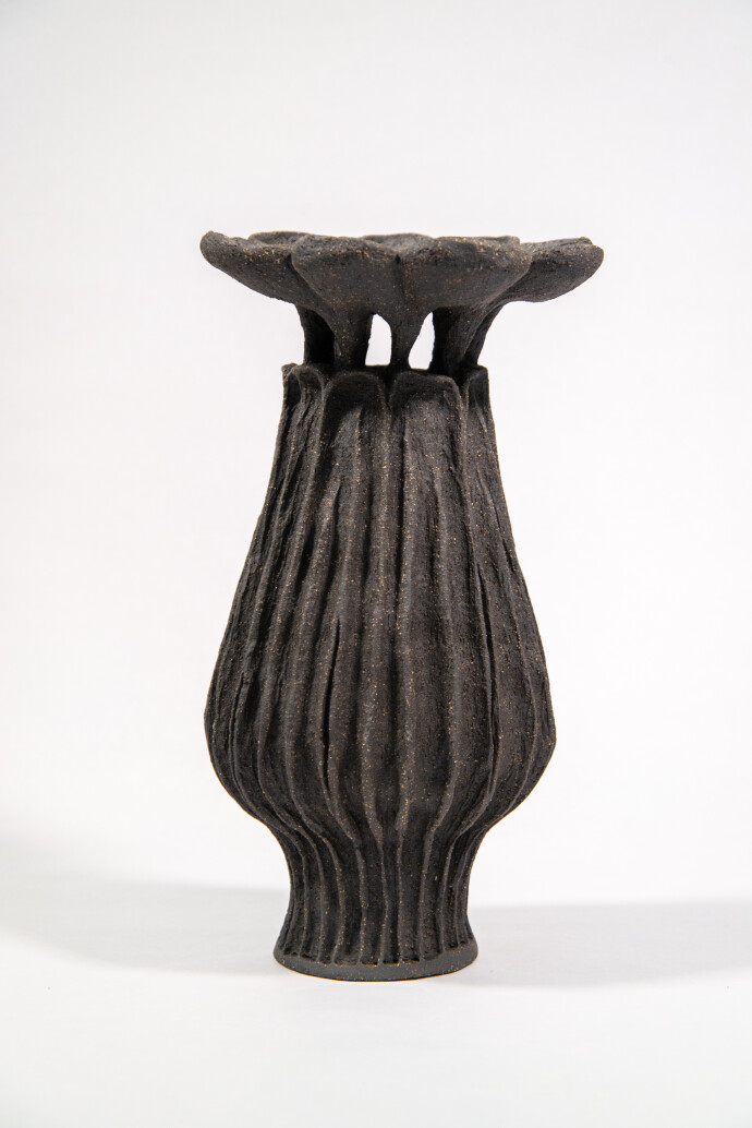 This contemporary ceramic vessel was inspired by nature and rendered in black.