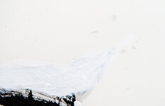 Simple, strong imagery dominates this piece by Toronto contemporary artist Lynne Fernie. Image 8