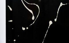 Toronto artist Lynne Fernie prefers working in black and white. Image 6