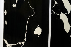 Toronto artist Lynne Fernie prefers working in black and white. Image 5