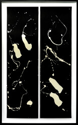 Toronto artist Lynne Fernie prefers working in black and white.